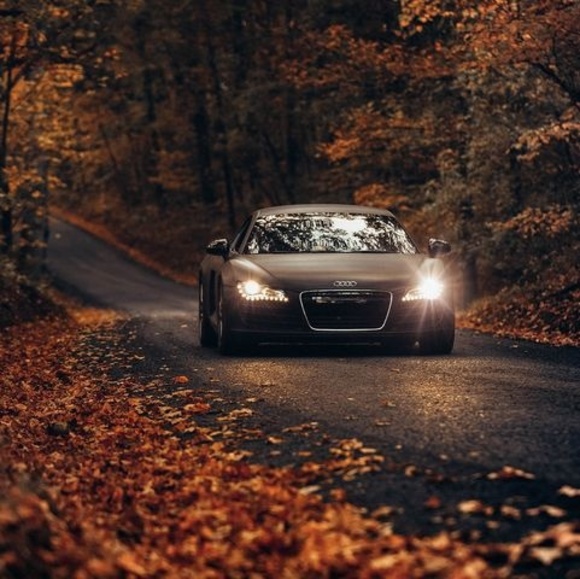 Meet your Posher, Hamza - Picture 1 of 1